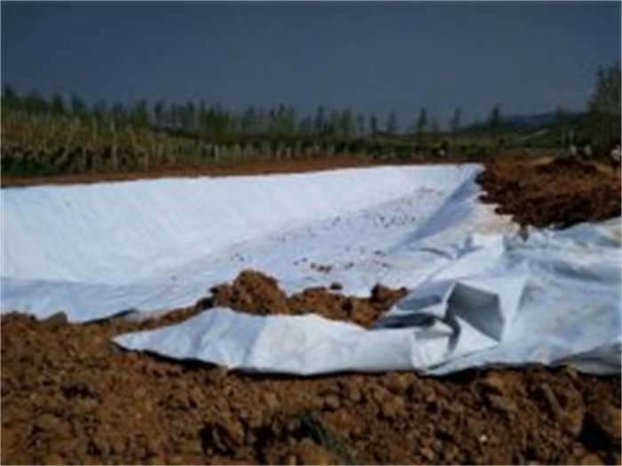 汉中农业蓄水池复合膜防渗案例